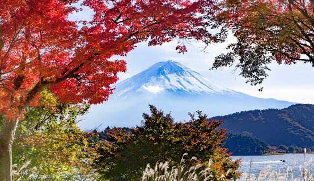 Top 10 Spots To See Japanese Leaves in Fall - Interac Network