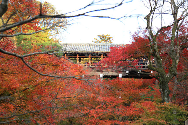 Tofukuji Temple