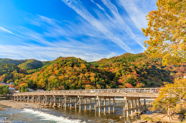 Arashiyama autumn leaves