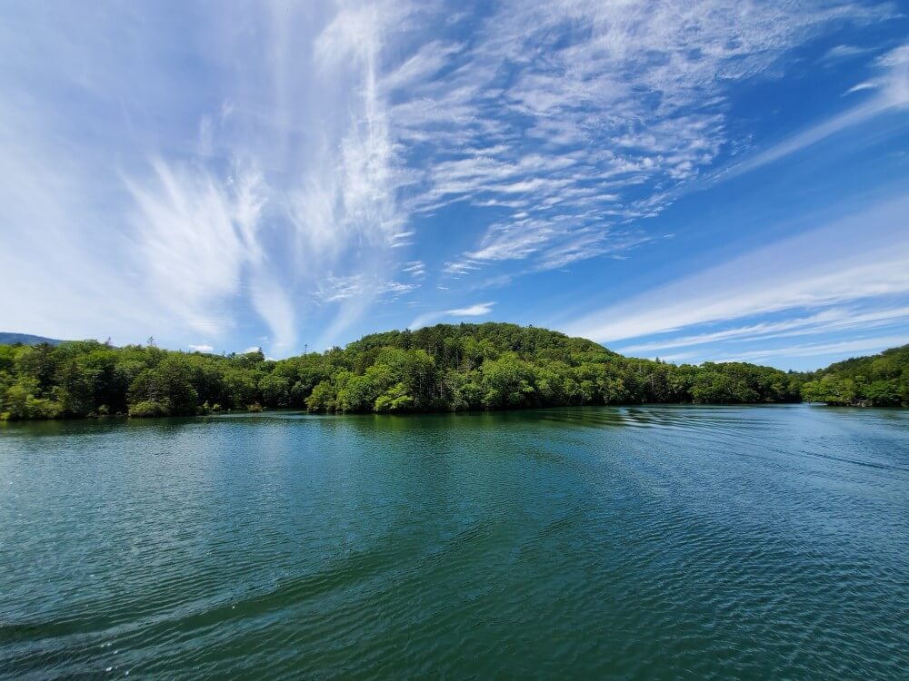 a forest-covered island in a national park in Japan