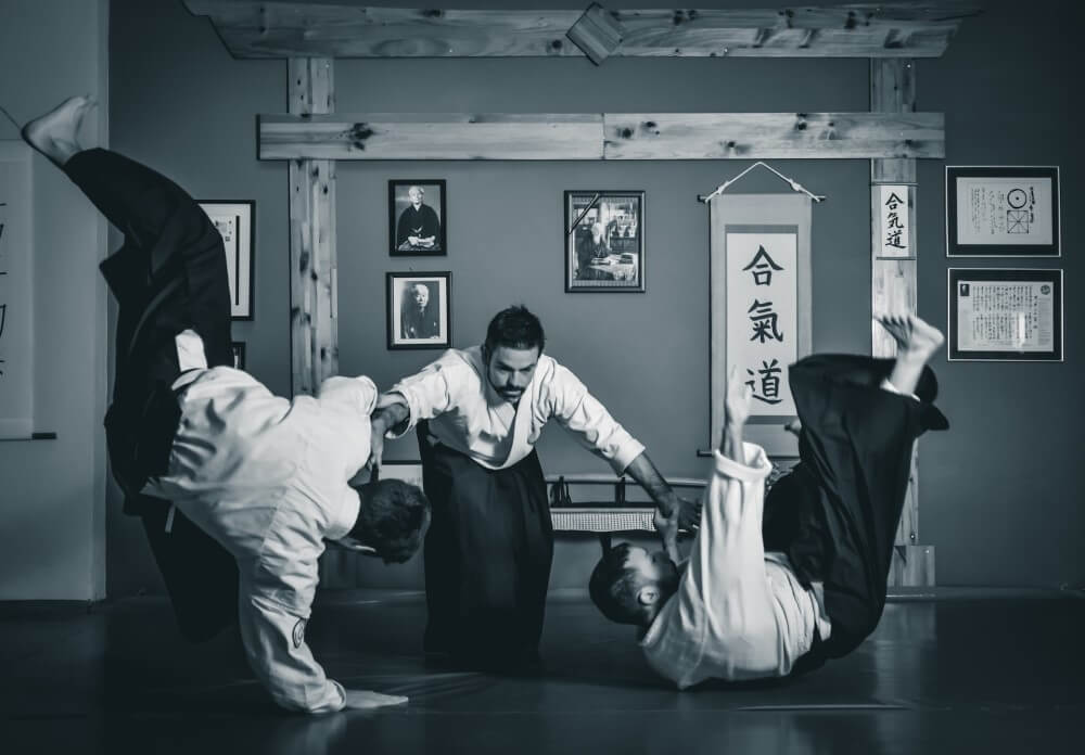 men doing aikido moves
