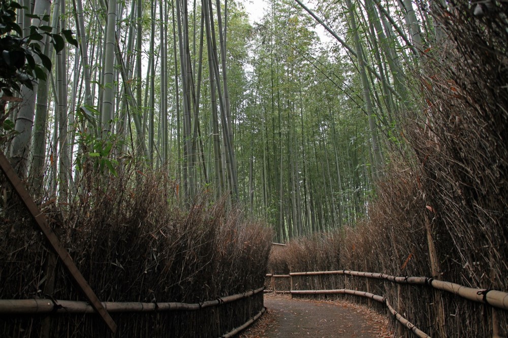 narrow-path-at-arashiyama-bamboo-forest