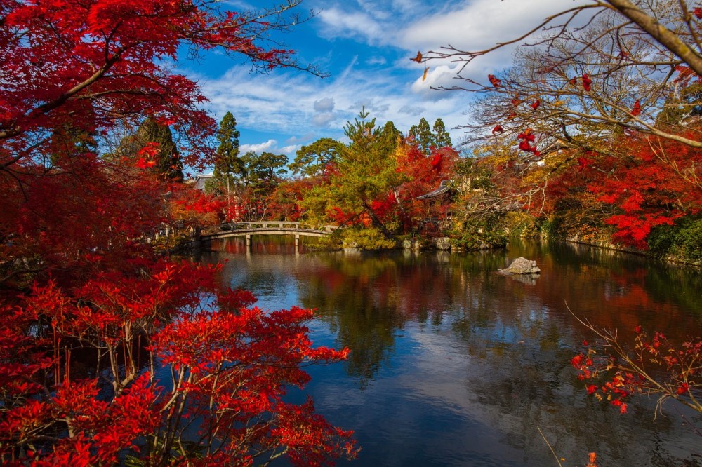 garden-pond-and-bridge-in-japan