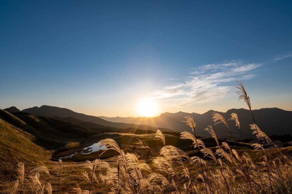 a field in Japan with the sun coming up